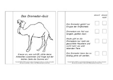 Mini-Buch-für-Lapbook-Quiz-Dromedar.pdf